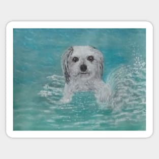 Dog walking on water Sticker